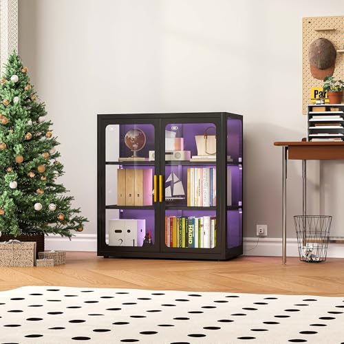 Vitrine mit Glastüren und RGB- – Collectible Collection Bewertung und Preis