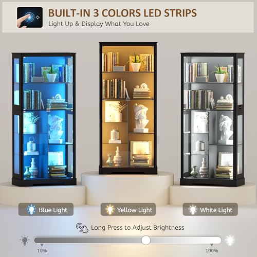 71-Zoll-Glasvitrine mit RGB-Be – Collectible Collection Bewertung und Preis